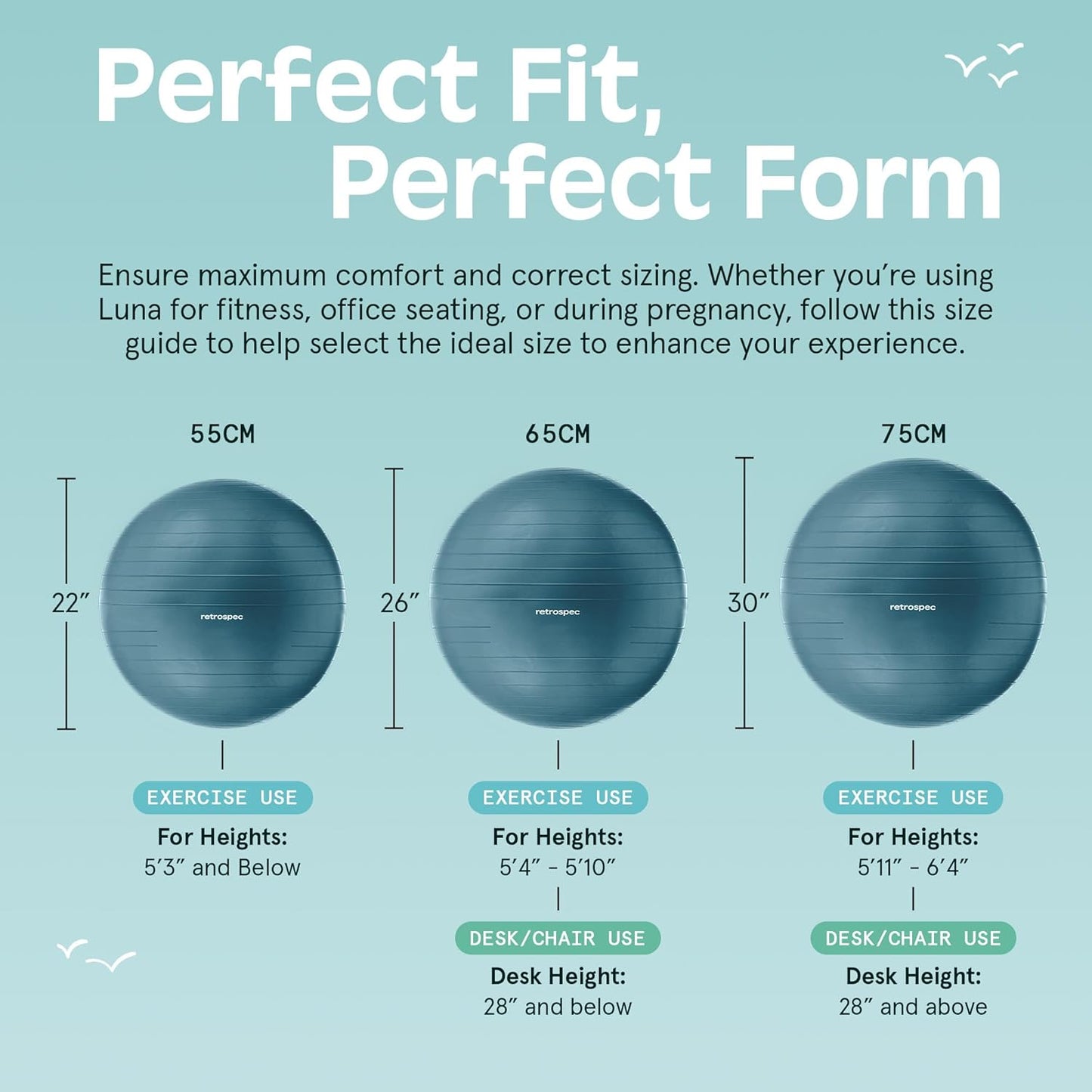 Luna Exercise Ball with Pump - Anti-Burst Fitness Equipment for Yoga, Core Training & Stability - Home Gym Swiss Ball for Office & Pregnancy