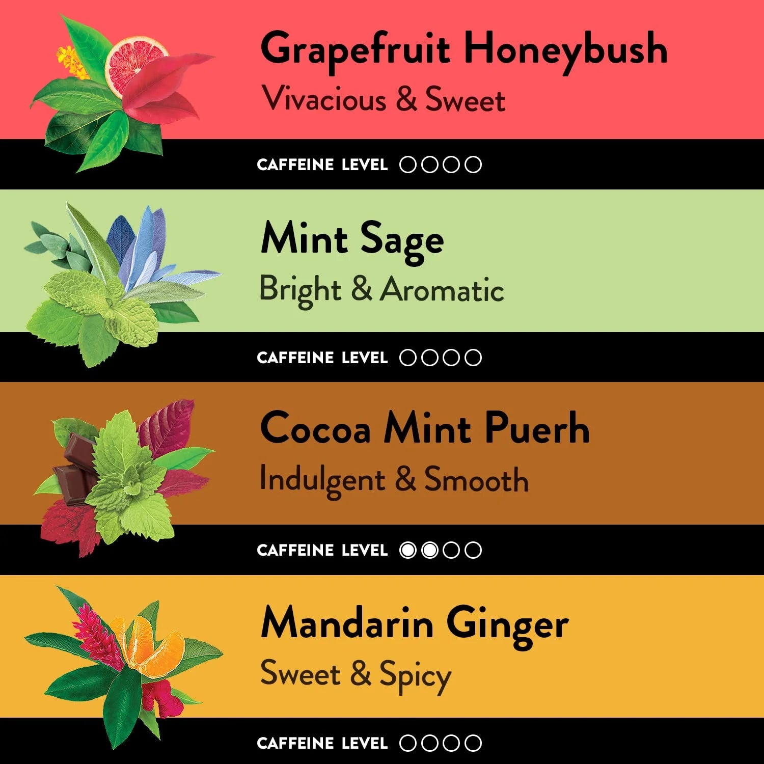 Sipping Box (32 Count) Tea Variety Pack Sampler Gift Box Includes Assorted Selection of Organic Black, Green, and Herbal Teas